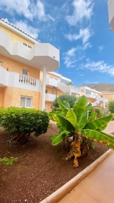 Golden Suite Ocean View & Pool Los Cristianos  Exteriör bild